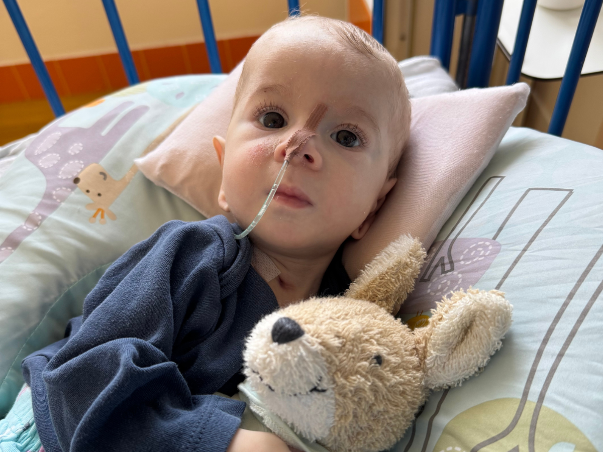 šablona NL - hlavný príbeh – kópia (18)